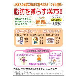 ダイエット 漢方 建林松鶴堂 扁鵲 90包 へ...の詳細画像2