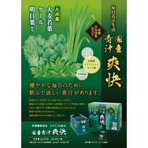 青汁 大麦若葉 大協薬品 国産青汁 爽快 90...の詳細画像2