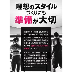 インフィニティ― HMB2380 大容量 32...の詳細画像2