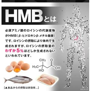 インフィニティ― HMB2380 大容量 32...の詳細画像5