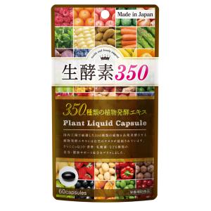 【賞味期限2024年10月】健康食品 ノーブルディ 生酵素350 60粒 サプリメント