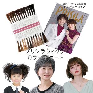 PRISILA プリシラ ヘアースタイリングミストMS ウィッグ用お手入れ