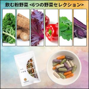 【新商品】飲む粉野菜 「6つの野菜セレクション...の詳細画像1