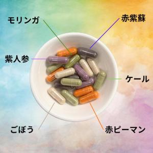 【新商品】飲む粉野菜 「6つの野菜セレクション...の詳細画像2