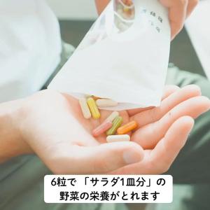 【新商品】飲む粉野菜 「6つの野菜セレクション...の詳細画像4