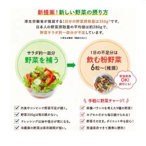 【新商品】飲む粉野菜 「6つの野菜セレクション...の詳細画像5