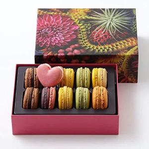 ピエールエルメ マカロン 10個 ギフト プレゼント  御祝