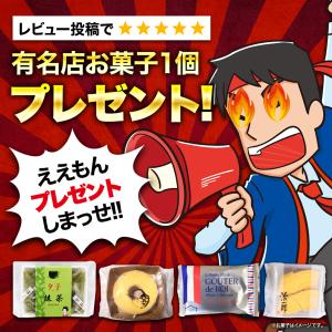 井筒八ッ橋 なま八ツ橋 皮だけ ニッキ(28枚...の詳細画像1