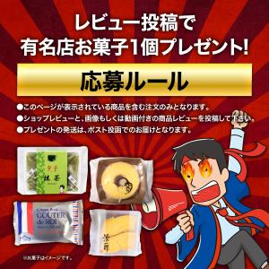 井筒八ッ橋 なま八ツ橋 皮だけ ニッキ(28枚...の詳細画像2