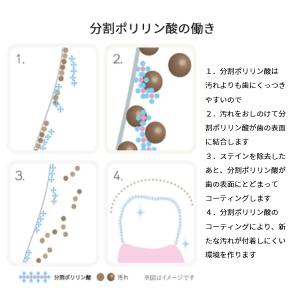 ホワイトニング 歯の美白美容液 ポリリンホワイ...の詳細画像5