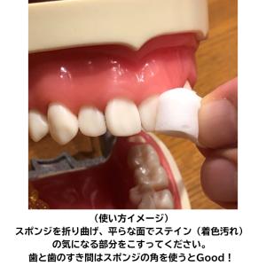 ホワイトニング ポリリンホワイトEX専用 スポ...の詳細画像3
