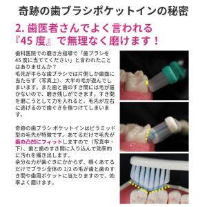 ヤフショ限定 奇跡の歯ブラシ ポケットイン 5...の詳細画像2
