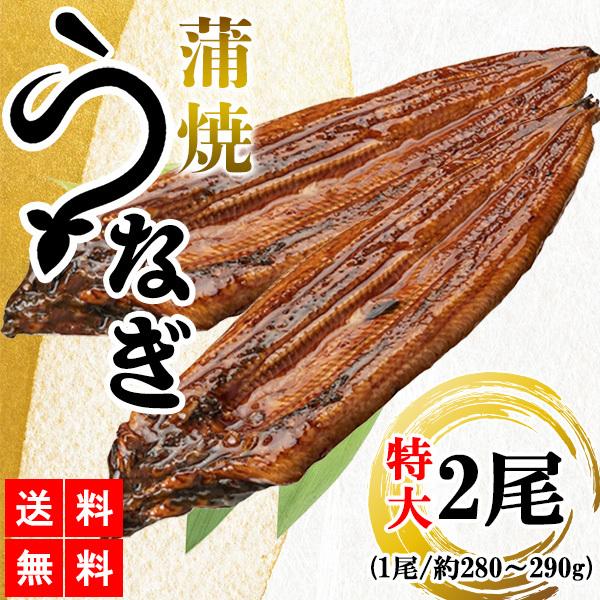うなぎ蒲焼 鰻蒲焼 2尾 送料無料 特大サイズ 蒲焼 土用の丑の日 うなぎ ウナギ 鰻 中国産 メー...