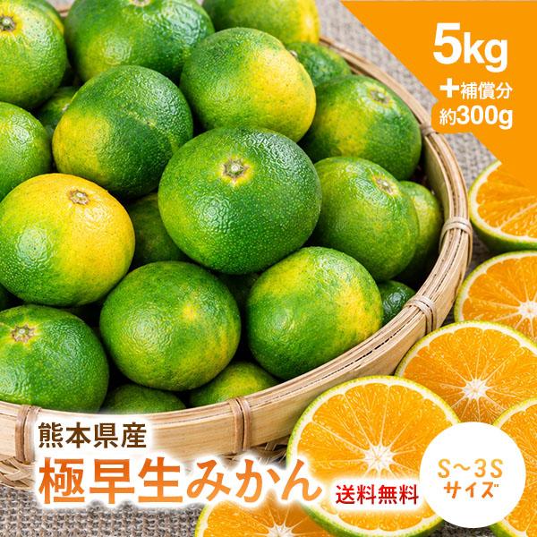 極早生みかん 5kg みかん 小玉 熊本県産 Ｓ-3S 混載 箱買い ケース ミカン 柑橘 フルーツ...