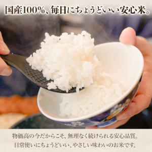 【国産米100%使用】 ブレンド米 10kg ...の詳細画像4
