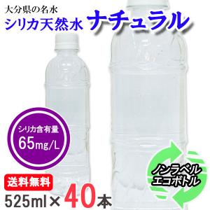 シリカ水 525ml 40本 高濃度シリカ水 シリカウォーター 水 軟水 ラベルレス エコボトル 国産 大分県産｜regorith