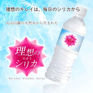シリカ水 500ml 48本 高濃度シリカ水 ...の詳細画像1