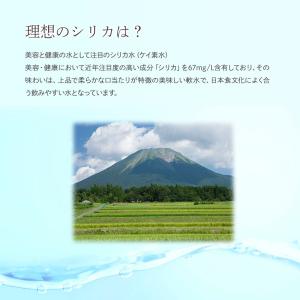 シリカ水 500ml 48本 高濃度シリカ水 ...の詳細画像2