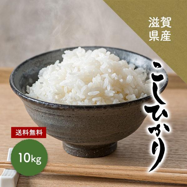 コシヒカリ 10kg 滋賀県産 米 お米 こめ 令和7年度米 受注精米 精米  白米 滋賀県産コシヒ...