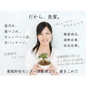 【アウトレット/賞味期限2か月以上/数量限定】...の詳細画像1