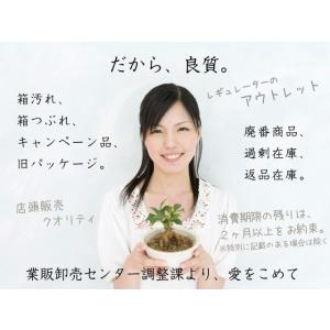 【アウトレット/賞味期限2か月以上】 ラ・バモ...の詳細画像1
