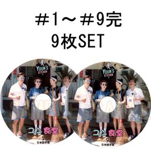 イ・ソジン LEE SEOJIN イソジン「ユン食堂 #1~#9 完 」END 9枚セット ★バラエティー番組収録DVD★(日本語字幕)