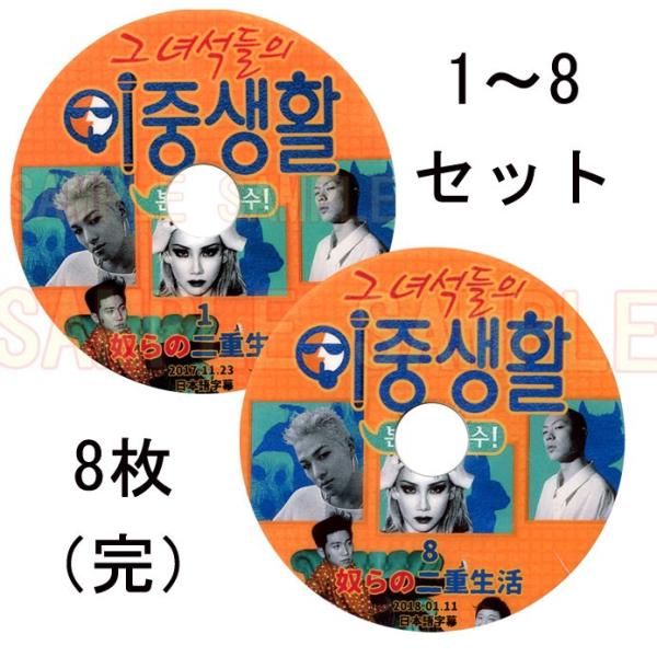 【韓流DVD】BIGBANG テヤン / 2NE1 CL 「その奴らの二重生活 」8枚set (#1...