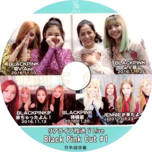 【韓流DVD】 BLACK PINK ブラックピンク [ 初V App] (2016.11.04-2017.03.23)日本語字幕 ★BLACKPINK｜rehobote