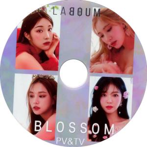 【韓流DVD】ラブーム LABOUM 【 2021 PV ＆TV Collection 】★ユジョン/ソヨン/ジエン/ヘイン/ソルビン/ユルヒ｜rehobote