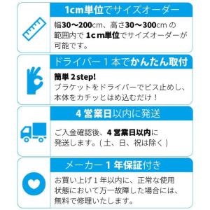 ロールスクリーン(リーズナブルタイプ)の詳細画像1