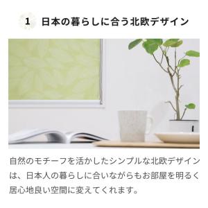 ロールスクリーン ロールカーテン 遮光 突っ張...の詳細画像3