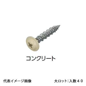 【2M-4WS1A-25-100P】オンダ製作所 カラービス 磁性あり コンクリート 4×25 アイボリー 1セット(100本) 大ロット 入数:40｜rehomestore