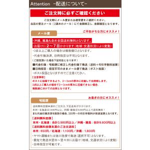 ピグメント バケットハット 帽子 NEWHAT...の詳細画像1
