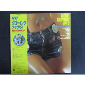 LP/レコード 0194■アルバートハモンド スコットマッケンジー アダモ 他/モア！グローイングア...