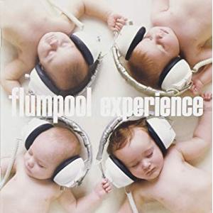 新品CD■flumpool/experience/オリジナルポケットカレンダー2013封入/AZCS...