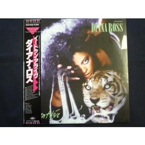 BASI 切愛 2LP レコード アナログ盤 : EastRiverrr-shop - 通販