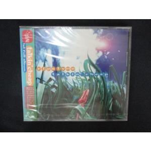 1990★未開封CD Talkin’Cheap/RIP SLYME  ※ワケ有