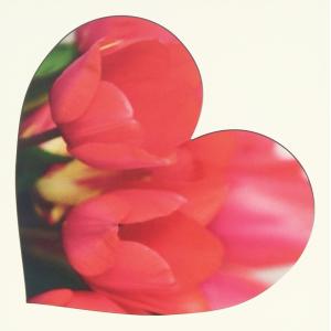 CD 003 ビートルズ スティーヴィー ワンダー他 オムニバス/TAKAMI BRIDAL presents Love Pop~KISS OF LIFE~mixed by DJ TORA/SGCR001