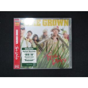 1069★未開封CD True Links/HOME GROWN  ※ワケ有
