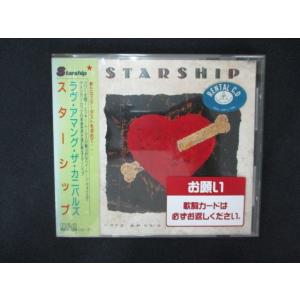 1957 レンタル版CD ラヴ・アマング・ザ・カニバルズ/スターシップ 【歌詞・対訳付】