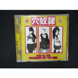 2053＃中古CD 美獣穴奴隷伝説(THIS IS THE BEGINNING OF THE END...
