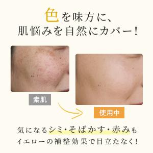 かづきれいこ かんたんスタートセットEX R ...の詳細画像4