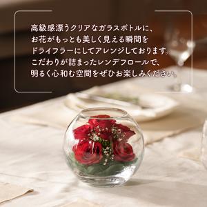 レンデフロール 国産ボトルフラワー ドライフラ...の詳細画像2