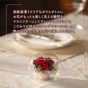 レンデフロール 国産ボトルフラワー ドライフラ...の詳細画像2