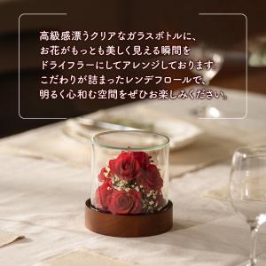 レンデフロール 国産ボトルフラワー ドライフラ...の詳細画像2