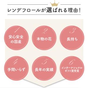 レンデフロール 国産ボトルフラワー ドライフラ...の詳細画像5