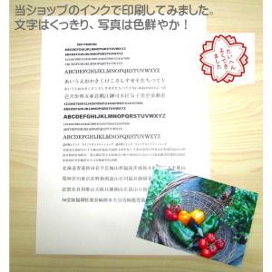 キャノン BK増量 BC-365/366詰め替...の詳細画像4
