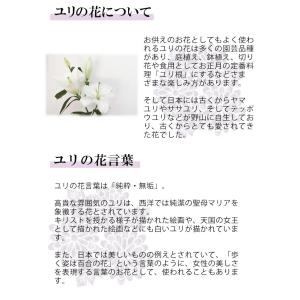 お供え お悔やみ 花 贈り物 一周忌 命日 法...の詳細画像3