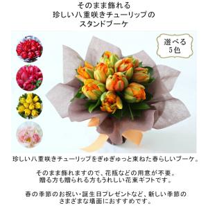 珍しい花の商品一覧 通販 Yahoo ショッピング