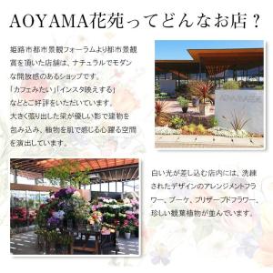 生花 フラワーアレンジメント 白トルコキキョウ...の詳細画像4